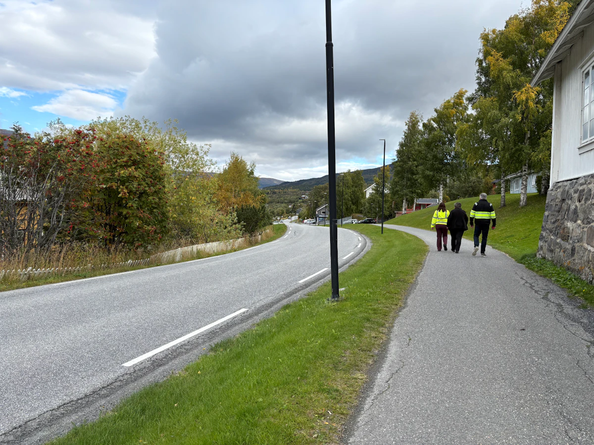E16 i Vang trenger utbedring